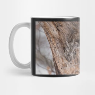 Eastern Screech Owl Mug